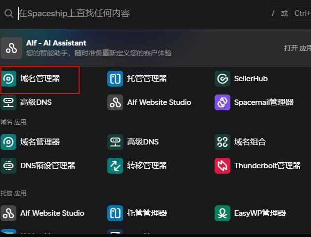 打开 Spaceship 域名管理器