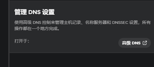打开 Spaceship 高级 DNS